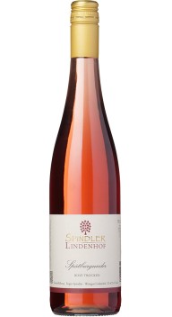 Spätburgunder Rosé - Vintilbud